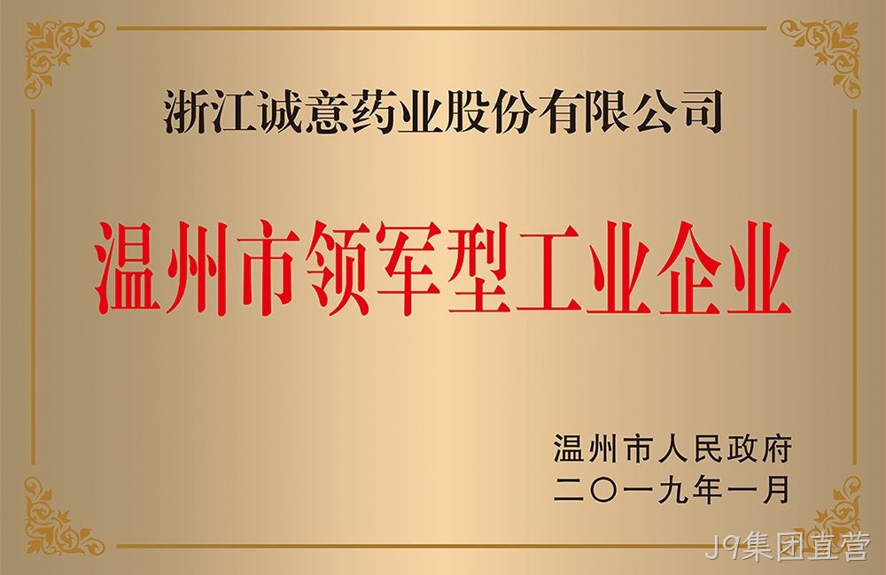 温州市领军型工业企业