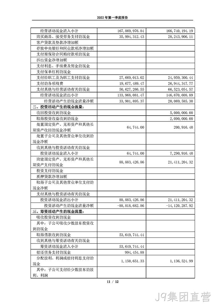 替换词2022年第一季度报告_页面_11