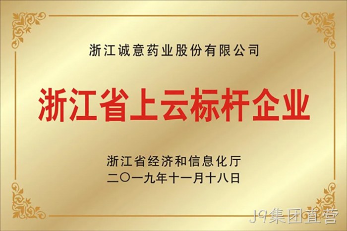 浙江省上云标杆企业 浙江省上云标杆企业